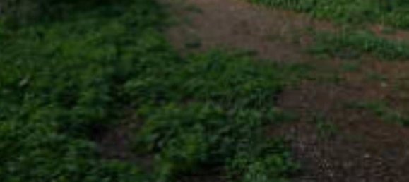 Земельный участок 608м² в Палермо, Италия № 291474 4