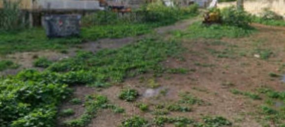 Земельный участок 608м² в Палермо, Италия № 291474 6