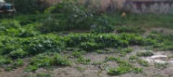 Земельный участок 608м² в Палермо, Италия № 291474 10