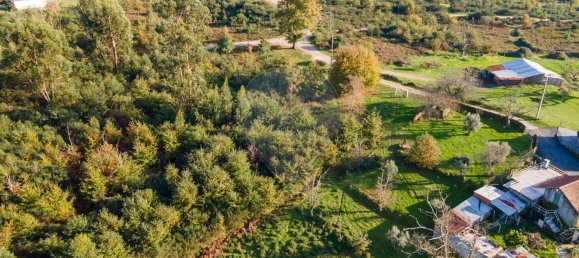 1 Schlafzimmer Haus in Sao Martinho da Cortica, Portugal, Nr. 34224 20
