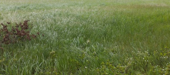 Terrain à Trizay-lès-Bonneval, France No. 81264 4