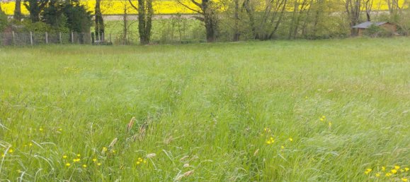 Terrain à Trizay-lès-Bonneval, France No. 81264 2