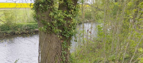 Terrain à Trizay-lès-Bonneval, France No. 81264 6