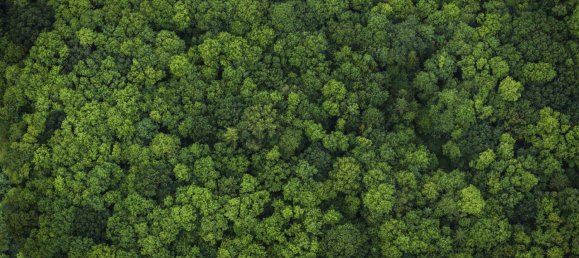 Земельный участок в Хардегг, Австрия № 236881 6