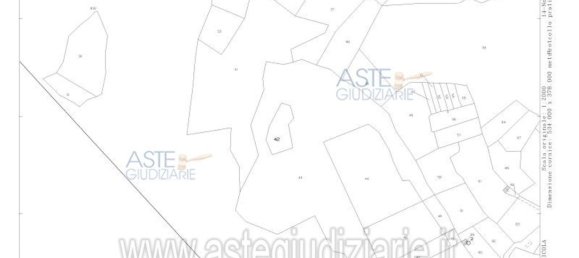 Земельный участок 48900м² в Орикола, Италия № 323689 6