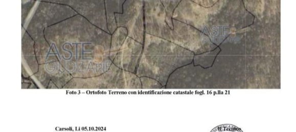 Земельный участок 48900м² в Орикола, Италия № 323689 5