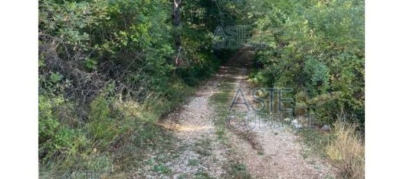 Земельный участок 48900м² в Орикола, Италия № 323689 9