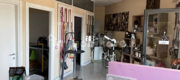 2 rooms Commercial property in Rome, Italy No. 72587 3