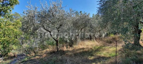 Земельный участок 3800м² в Тово Сан Джакомо, Италия № 273520 2