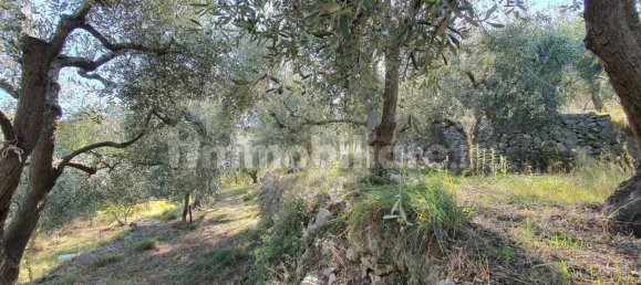 Земельный участок 3800м² в Тово Сан Джакомо, Италия № 273520 3