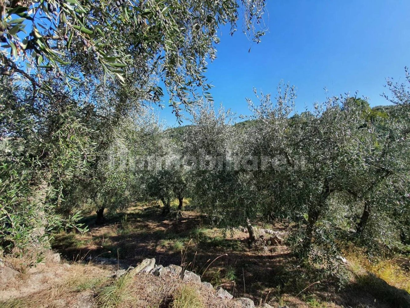 Земельный участок 3800м² в Тово Сан Джакомо, Италия № 273520