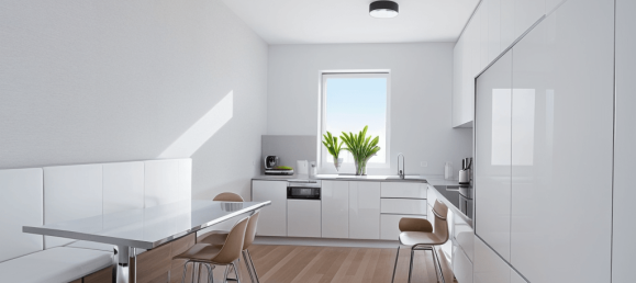 2 bedrooms Duplex in Bodenseekreis, Germany No. 52100 2