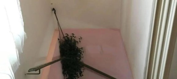 6غرفة منزل في Rotonda, Italy رقم 116952 6