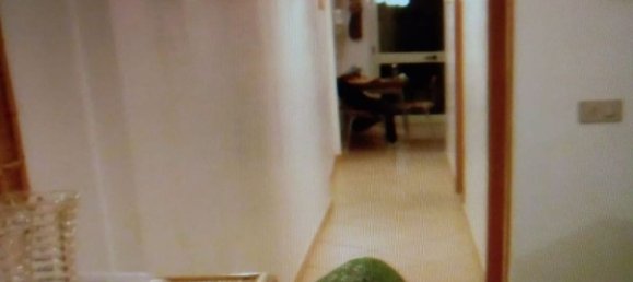 4-Zimmer Haus in Scicli, Italy, Nr. 176402 4