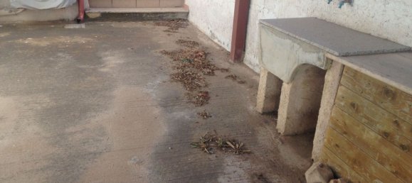 4-Zimmer Haus in Scicli, Italy, Nr. 176402 24