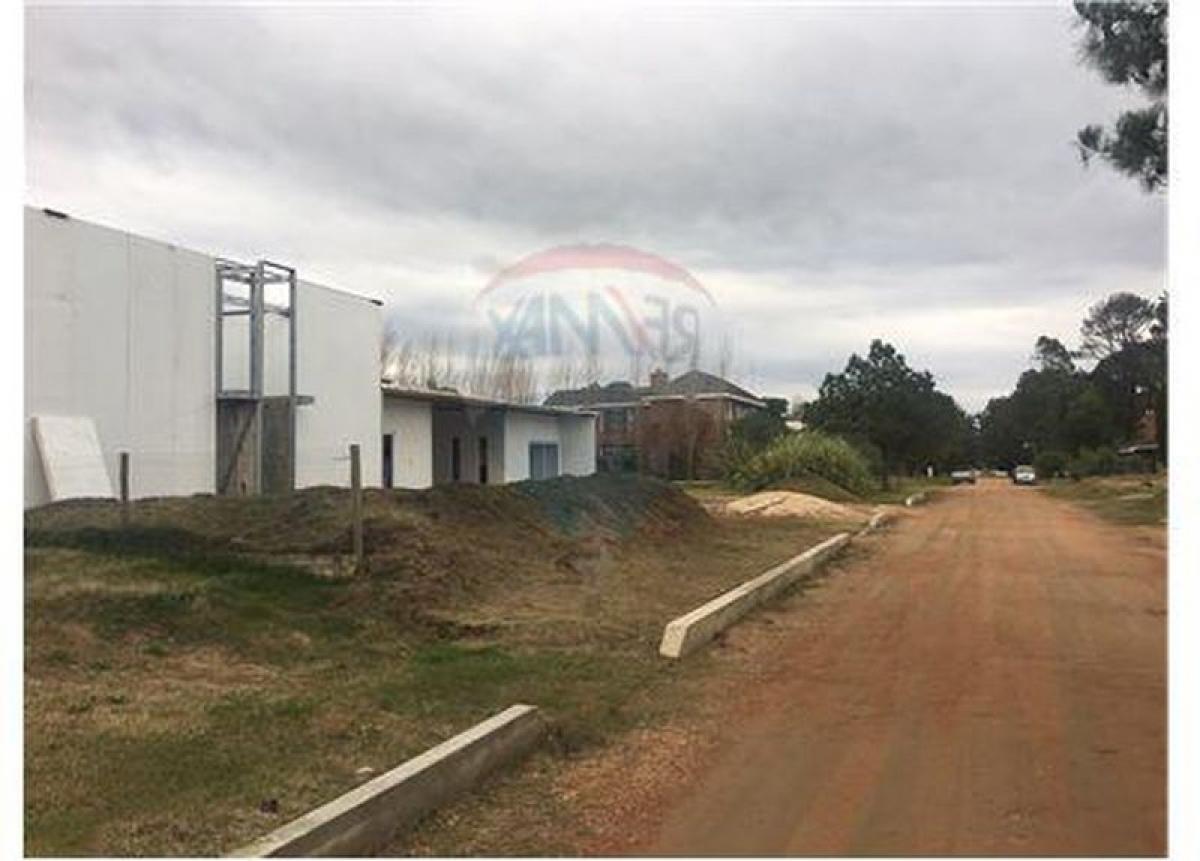  قطعة أرض في Maldonado, Uruguay رقم 15314