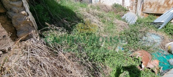 2-Zimmer Doppelhaus in Macerata Campania, Italy, Nr. 14812 5