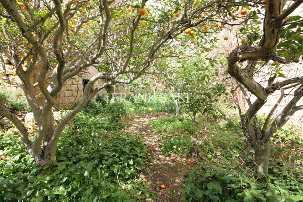 3 غرف نوم منزل في Siggiewi, Malta رقم 2520