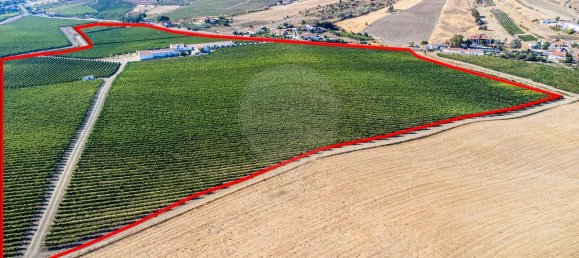 9 bedrooms House in Vila Franca de Xira, Portugal No. 67131 34