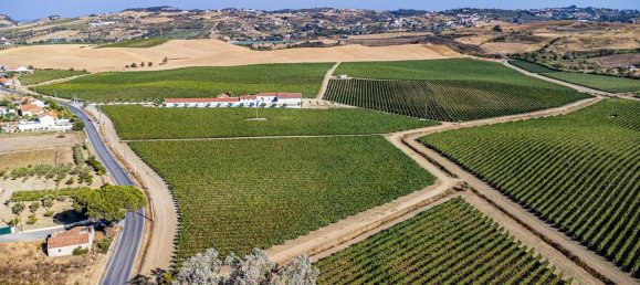 9 bedrooms House in Vila Franca de Xira, Portugal No. 67131 38