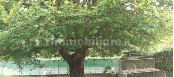 1 Schlafzimmer Wohnung in Castello Cabiaglio, Italy, Nr. 5431 10