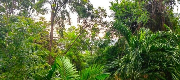 2 bedrooms Condo in Pattaya, Thailand No. 19811 23