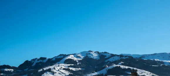 Отель, гостиница с 15 спальнями в Кирхберг ин Тироль, Австрия № 112330 3