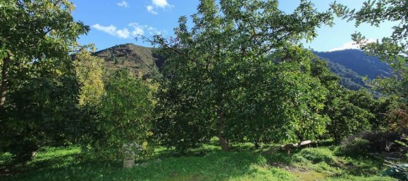 1 bedroom Land in Tolox, Spain No. 85307 64