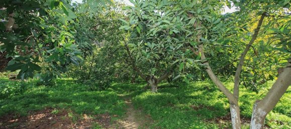 1 bedroom Land in Tolox, Spain No. 85307 68