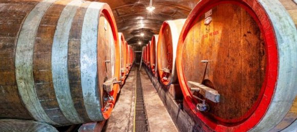 1011m² Land in Montepulciano, Italy No. 58057 3