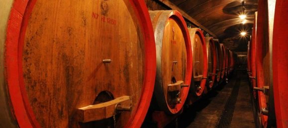 1011m² Land in Montepulciano, Italy No. 58057 14