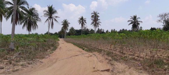  Commercial property in Pattaya, Thailand No. 1852 5