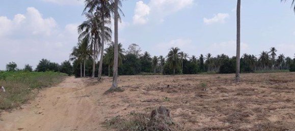  Commercial property in Pattaya, Thailand No. 1852 6