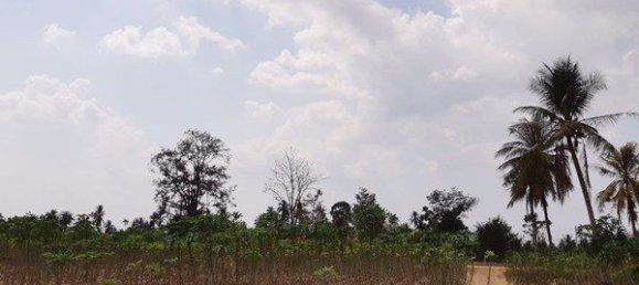  Commercial property in Pattaya, Thailand No. 1852 2