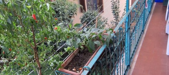 5 rooms Apartment in Florence, Italy No. 204334 23