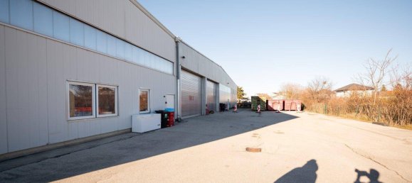 Lagerhaus in Wiener Neustadt, Austria 840m², Nr. 63164 42