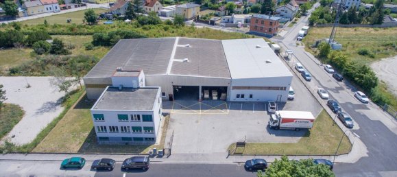 Lagerhaus in Wiener Neustadt, Austria 840m², Nr. 63164 20