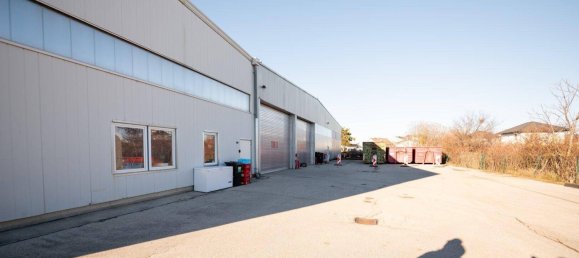 Lagerhaus in Wiener Neustadt, Austria 840m², Nr. 63164 2