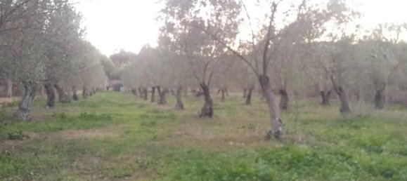 Отель, гостиница 350м² в Халкидики, Греция № 93224 15