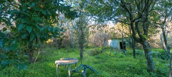 Casa T3 em Oliveira do Douro, Portugal N.º 20547 18