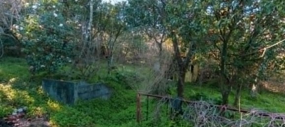 Casa T3 em Oliveira do Douro, Portugal N.º 20547 17