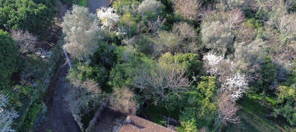 Casa T3 em Oliveira do Douro, Portugal N.º 20547 5