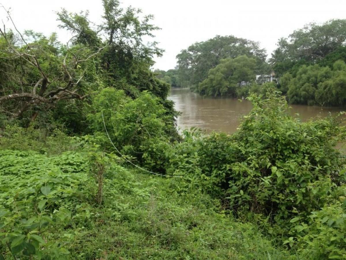  Land in Veracruz, Mexico No. 205063