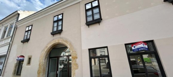 5-Zimmer Gewerbliche Immobilie in Laa an der Thaya, Austria, Nr. 250978 15