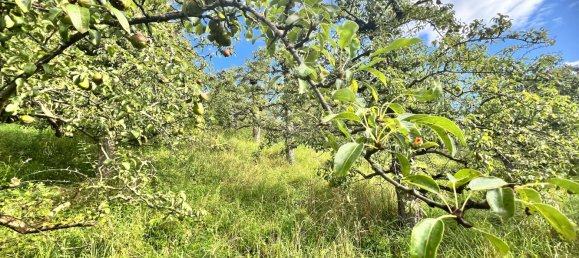 Terreno em Stuttgart, Germany 878 m² N.º 53473 9