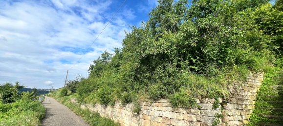 Terreno em Stuttgart, Germany 878 m² N.º 53473 10