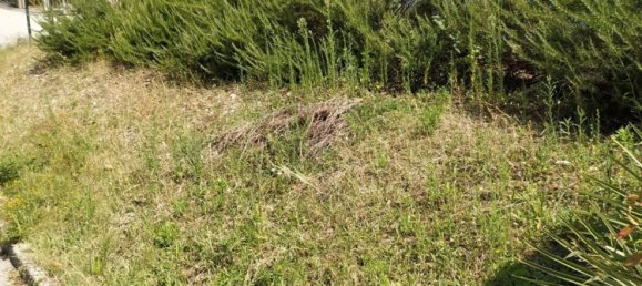 4 rooms House in San Lorenzo in Campo, Italy No. 254506 2