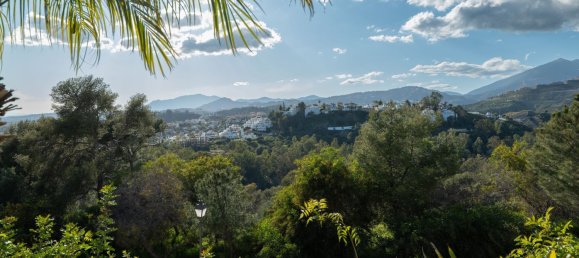 3 chambres Appartement à Marbella, Spain No. 136405 86