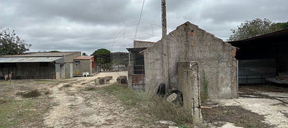 1 bedroom House in Coruche, Portugal No. 18136 11