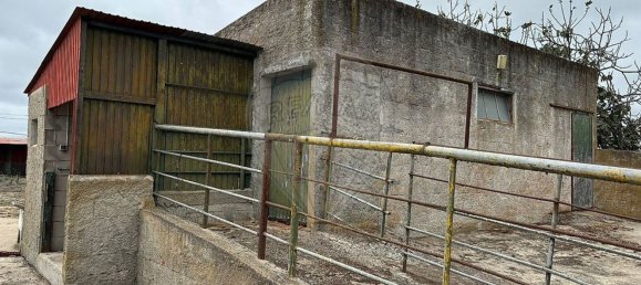 1 bedroom House in Coruche, Portugal No. 18136 12